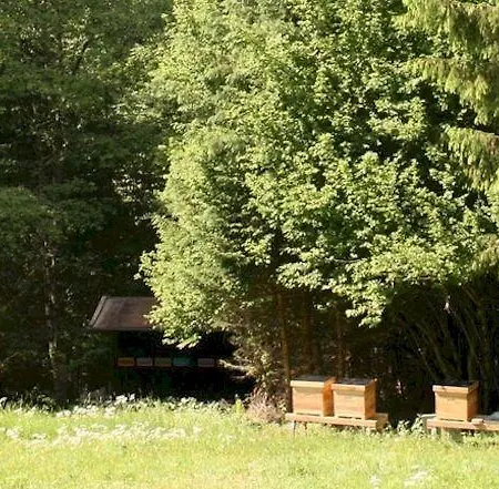 Biohotel Garmischer Hof Hotell Garmisch-Partenkirchen